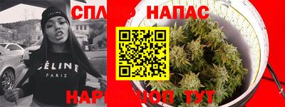 a pvp Краснознаменск